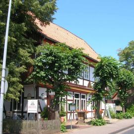 Apartment Brauner Hirsch，位于策勒的酒店