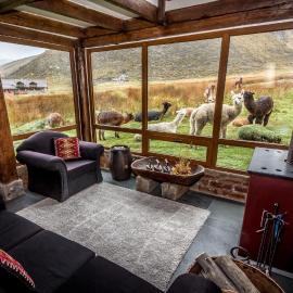 Chimborazo Lodge，位于Chimborazo的酒店