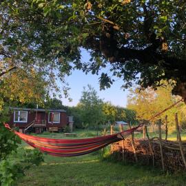 Wilde Möhre Bauwagen Sommerküche Draussen Abenteuer，位于Wallmow的酒店