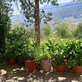 Ikarian Family Cottage, Ikaria Droutsoulas，位于Akamatra的酒店