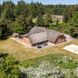 Stunning Home In Ulfborg With Sauna，位于乌尔夫堡的酒店