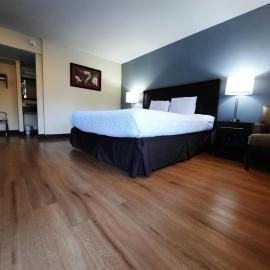 Americas Best Value Inn Moline，位于莫林的酒店