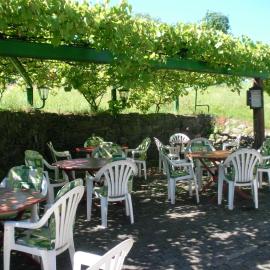 Hotel Restaurant Biesenbach，位于维佩尔菲尔特的酒店