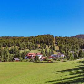 Berghotel zum Zirm，位于科拉尔博的酒店
