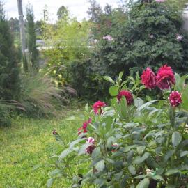 Christian home retreat，位于Ngong的酒店