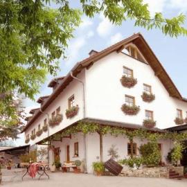 Winzerhotel Kinges-Kessel，位于Mörstadt的酒店