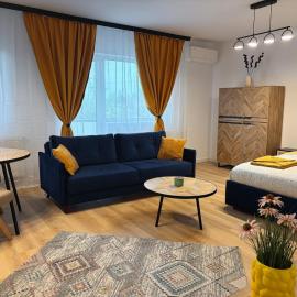 Quiet Studio Cavalerului - 1,5 km centru Pitesti，位于Valea Mare-Podgoria的酒店