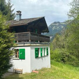 Cozy Mazot Champéry Portes du Soleil，位于尚佩里的酒店