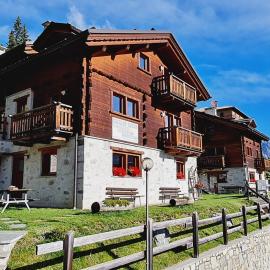 Chalet Selva，位于瓦尔迪登特罗的酒店