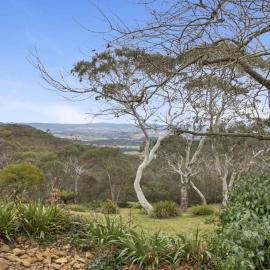 Cecils Chair Blackheath Blue Mountains