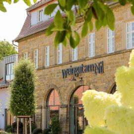 Gästehaus im Weingut am Nil，位于卡尔斯塔特的酒店