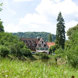 Logis Hôtel-Restaurant Auberge d'Imsthal，位于拉佩蒂特皮耶尔的酒店