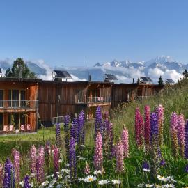 L'Aiguille Grive Chalets Hotel，位于阿克1800的酒店