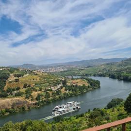 Delfim Douro Hotel，位于拉梅戈的酒店