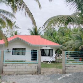 The Red Roof