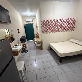Hotel la ceiba，位于Cedro的酒店