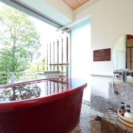 Hakone Gora Rinkan,位于箱根的酒店