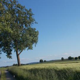 Natur und Ruhe - für Ruhe suchenden，位于乌斯拉尔的酒店