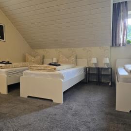 Pension Platzhirsch Eichsfeld，位于Geisleden的酒店