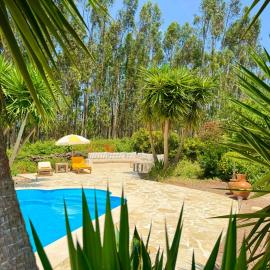 Wellbeing guesthouse Casa é Connosco，位于Alvaiázere的酒店