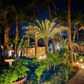 Serenity Lodge Zagora Guest House Restaurant & Desert Excursions，位于扎古拉的酒店