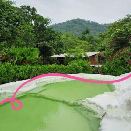 Pungara Eco-Lodge，位于特纳的酒店