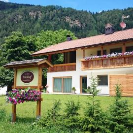 Pitterlehof，位于崔聂斯的酒店