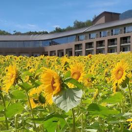 Furano Hotel 富良野ホテル，位于富良野的酒店