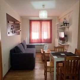 Apartamento Canfranc，位于坎弗兰克埃斯塔西翁的酒店