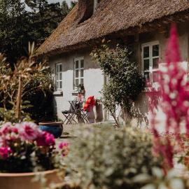 Idillyc summer and winter house on horse farm