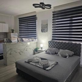 Apartman Centar Lazic 2，位于Šid的酒店