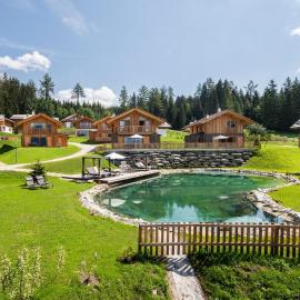 Lerchpeuntgut Almchalets，位于塔姆斯韦格的酒店