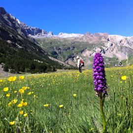 Hostel-Albergue Monte Perdido，位于托尔拉的酒店