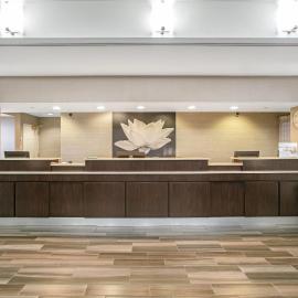La Quinta by Wyndham DFW Airport South / Irving,位于欧文的酒店