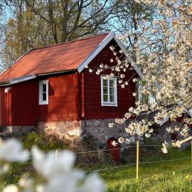 Drängstugan - Tiny House，位于Johannesberg的酒店