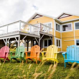 Neddies Harbour Inn，位于Norris Point的酒店