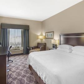 Best Western Plus Travel Hotel Toronto Airport，位于多伦多的酒店