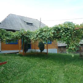 Casa din Dâmb，位于Breb的酒店