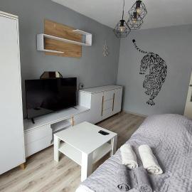 MagMar Studio Byczyna，位于Byczyna的酒店