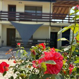 Suzi Apartments