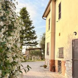 B&B Il Pozzo，位于锡纳伦加的酒店