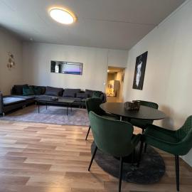 Notodden Sentrum Apartment NO 12，位于诺托登的酒店