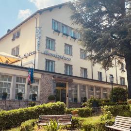 Hotel Montepizzo，位于利扎诺-因贝尔韦代雷的酒店