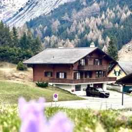 Chalet Gemsblick，位于霍斯彭塔尔的酒店