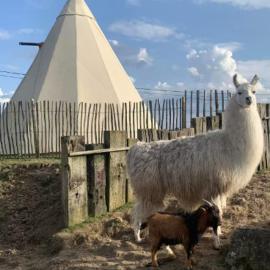 Le tipi d'Adri，位于Gesves的酒店