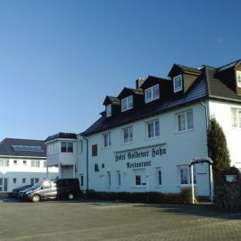 Hotel Gasthof Goldener Hahn，位于奥得河畔法兰克福的酒店
