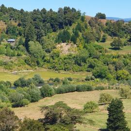 Te Tirohanga (The View)