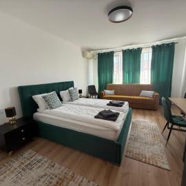 Chic Apartments SRL- Etaj 2-City Center - Free Wifi AC，位于卡雷的酒店