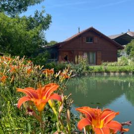 Chalet au bord d'un étang，位于Ueberstrass的酒店