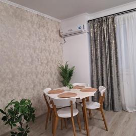 Silvana Apartament，位于Roşu的酒店